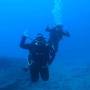 New buceo