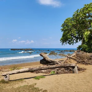 Osa Travel - Corcovado Tour 2