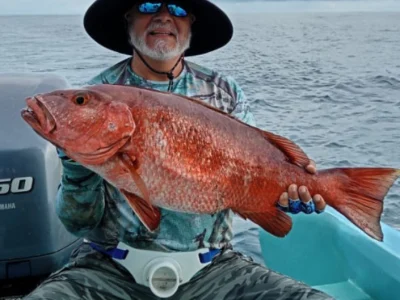 sport fishing from uvita