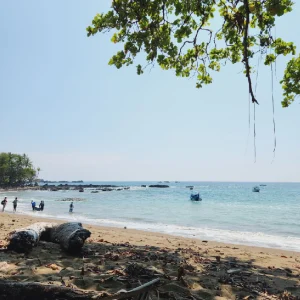tropical-snorkel-tour-osa-travels