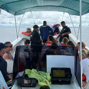 whale-boat-trip-osa-travels